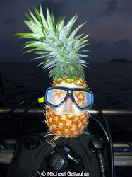 Time for a buddy check? Fun and games on board MV Spirit ... by Michael Gallagher 